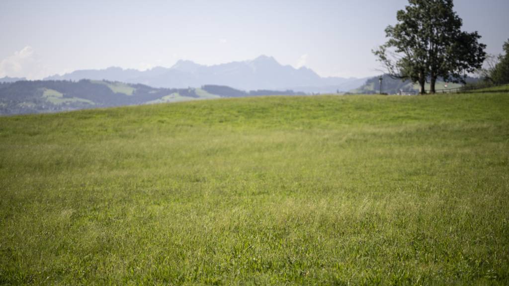 Als Dünger eingesetzter Klärschlamm ist für einen Teil der Belastung der Landwirtschaftsböden durch PFAS verantwortlich. Nun wird nach den Schuldigen gesucht. (Archivbild)