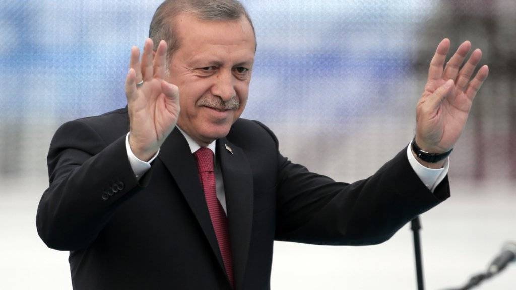 «Sultan» nennen Spötter in der Türkei Präsident Recep Tayyip Erdogan. Der für viele zu Selbstbewusste versucht trickreich, für die von ihm mitgegründetet AKP die Parlamentsmehrheit zurückzugewinnen - warum nicht über Neuwahlen?