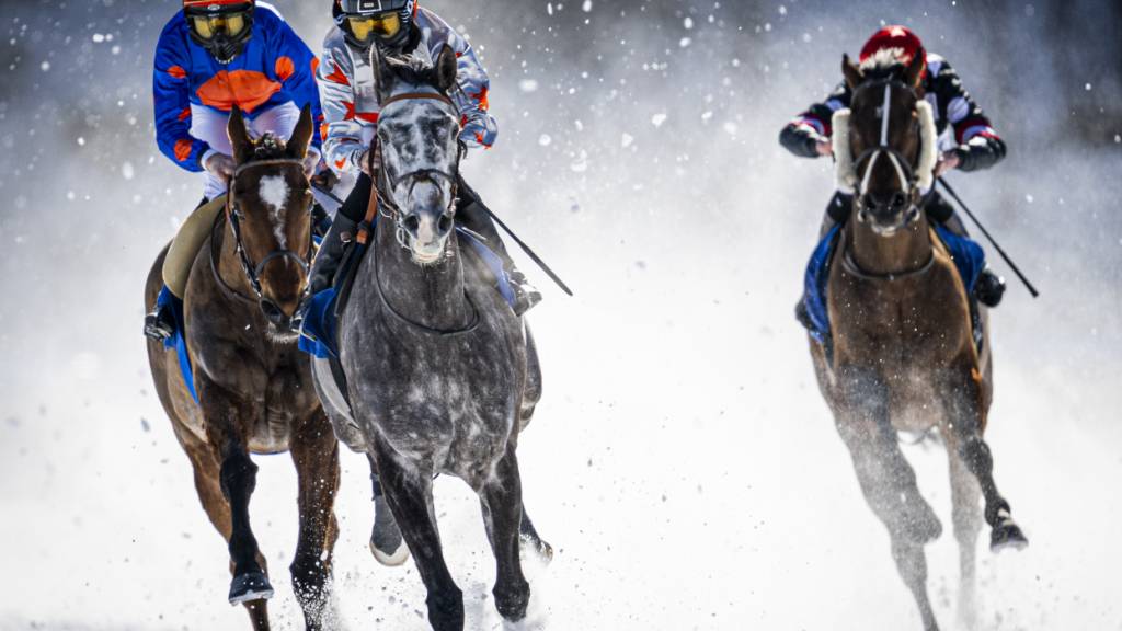 White Turf: Spektakel ist garantiert