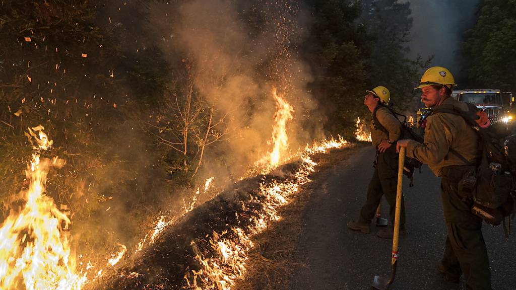 Feuerwehrleute überwachen einen kontrollierten Brand entlang der Nacimiento-Fergusson Road, um das Dolan-Feuer in der Nähe von Big Sur, einzudämmen. Foto: Nic Coury/AP/dpa