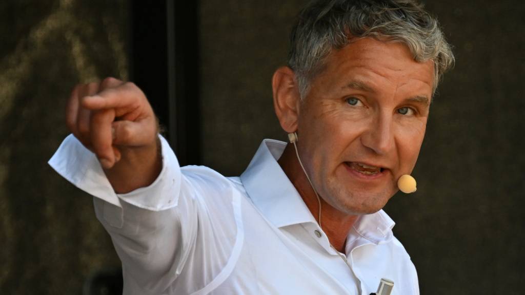 Björn Höcke, AfD-Spitzenkandidat in Thüringen, spricht beim  Wahlkampfabschluss seiner Partei in Erfurt. Foto: Martin Schutt/dpa