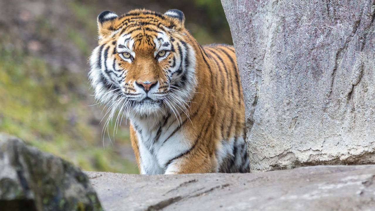 5F36B72831CA5AFC70495BF2598BB75E