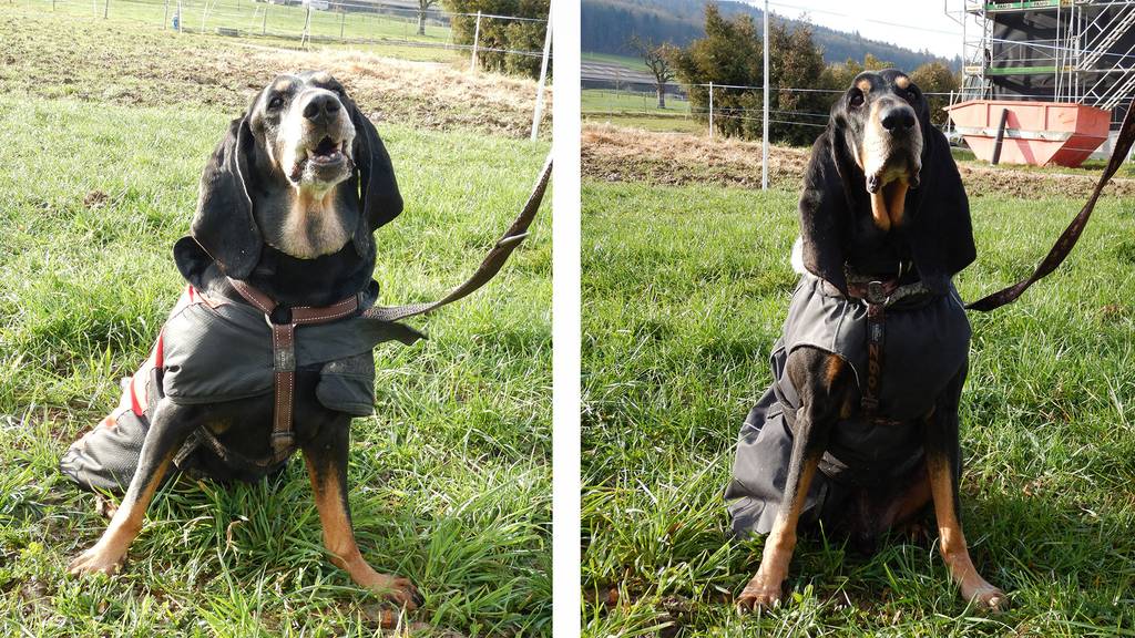 Arthos und Arkon 