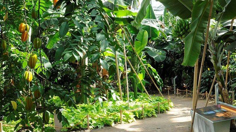 Freizeittipp: Besuch im Tropenhaus Wolhusen