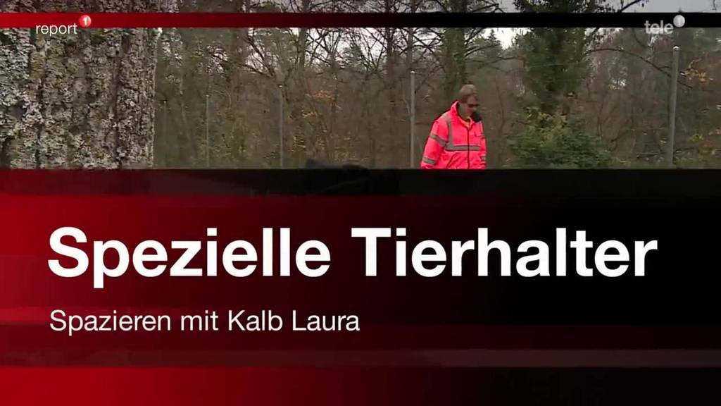 Spezielle Tierhalter - Kalb Laura