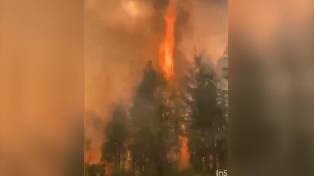 Fast 200 Waldbrände wüten im Osten Sibiriens - Tausende Menschen kämpfen gegen die Feuer
