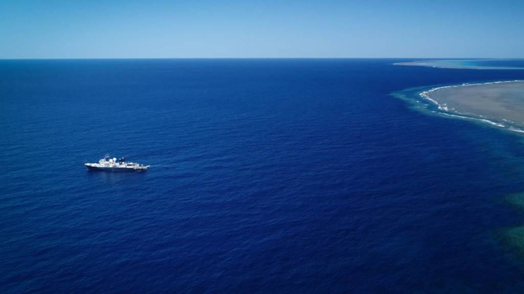 Das Team entdeckte das riesige Korallenriff während einer Erkundungsfahrt an Bord des Forschungsschiffs Falkor.