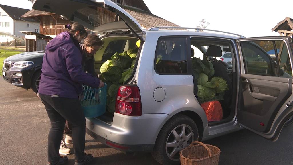 Bauer Krucker will Riesenwirz vor Kompost retten