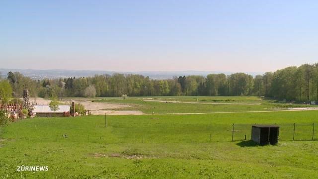 Savannenlandschaft im Zoo