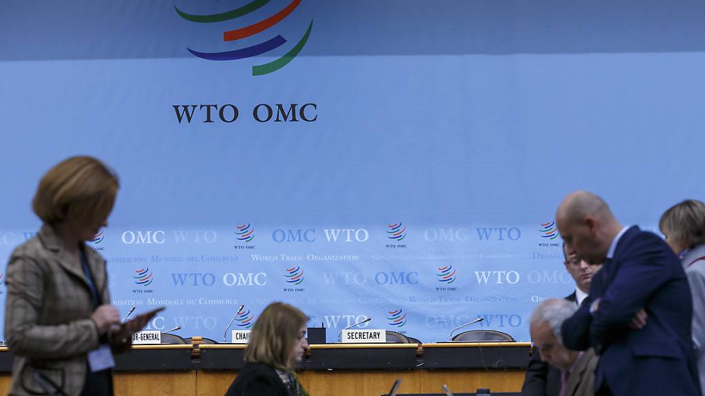 Delegierte der Generalversammlung der Welthandelsorganisation WTO am Hauptsitz in Genf.