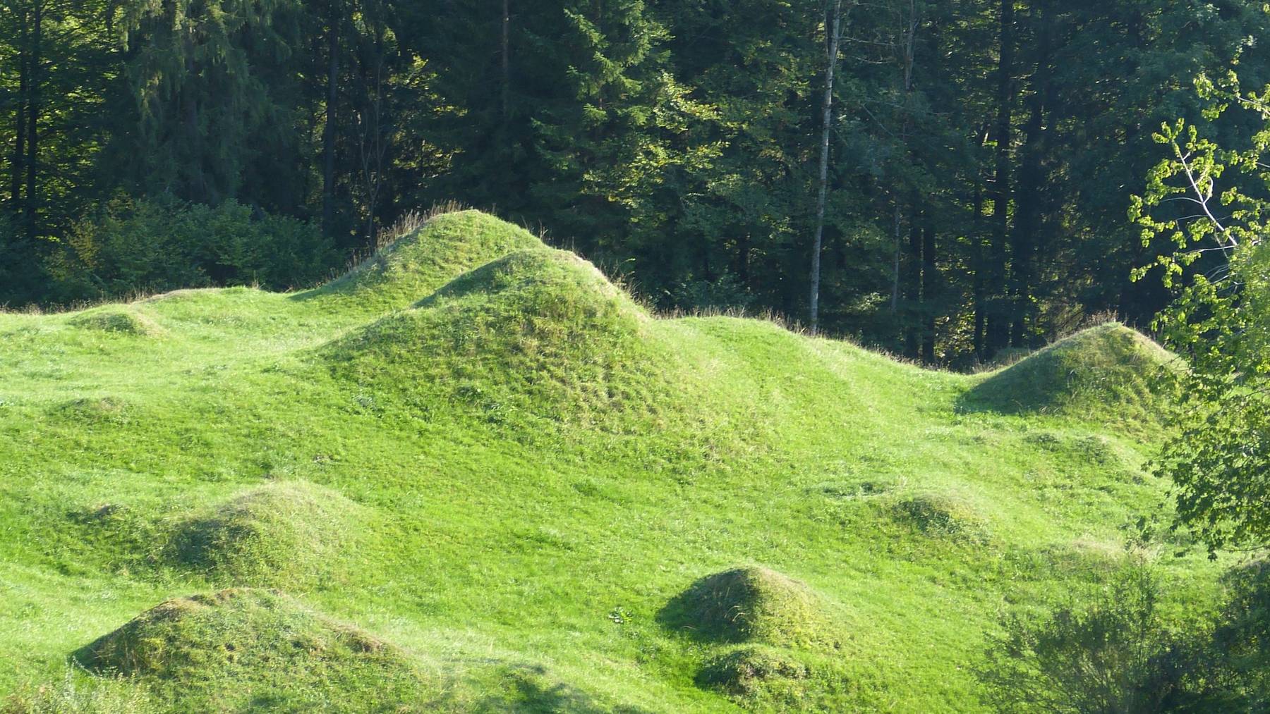 Das Hobbitland in Nesslau-Ennetbühl ist nur eine Sehenswürdigkeit.