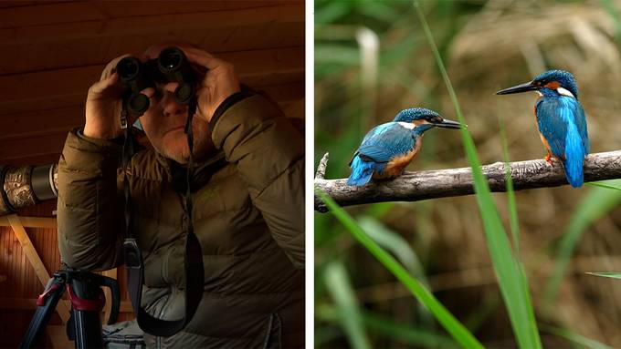Auf den Spuren des Eisvogels  / Tierische Auszeichnung