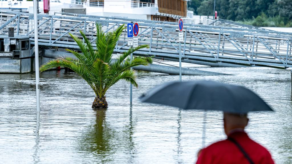 Auch in Deutschland steigen die Pegel: Uferbereiche der Altstadt in Paussau stehen im Hochwasser der Donau.