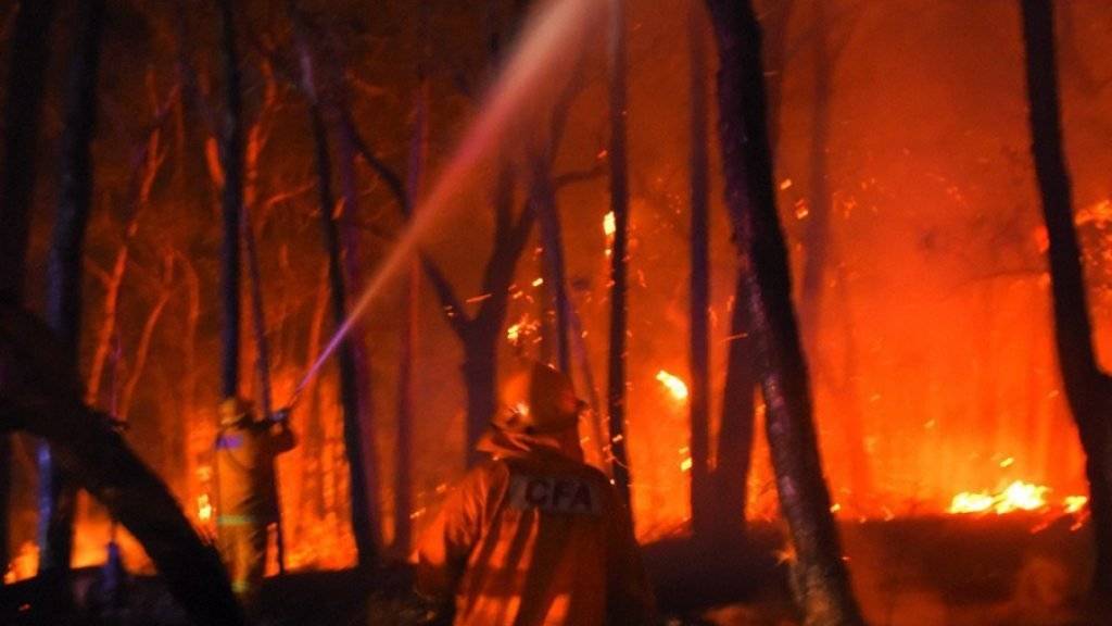 In Australien wüten Buschbrände: Mindestens vier Menschen kam in Westaustralien ums Leben. (Symbolbild)
