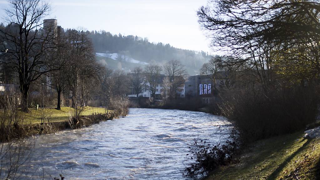 Das Flussbett der Thur soll bei Wattwil verbreitert werden. Ziel ist eine Verbesserung der Hochwassersicherheit. (Archivbild)