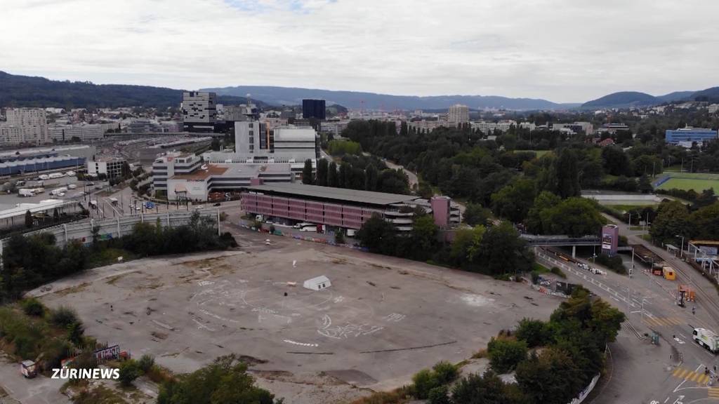 Stadiongegner fordern «klimafreundliches und soziales» Hardturmprojekt