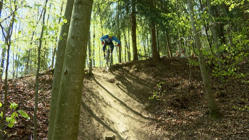 Neuer Biketrail am Üetliberg eröffnet