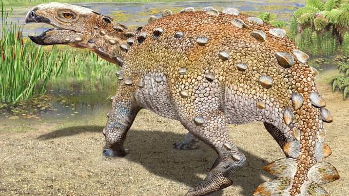 Ungewöhnliche Schwanzform – Neuer Dinosaurier in Chile entdeckt