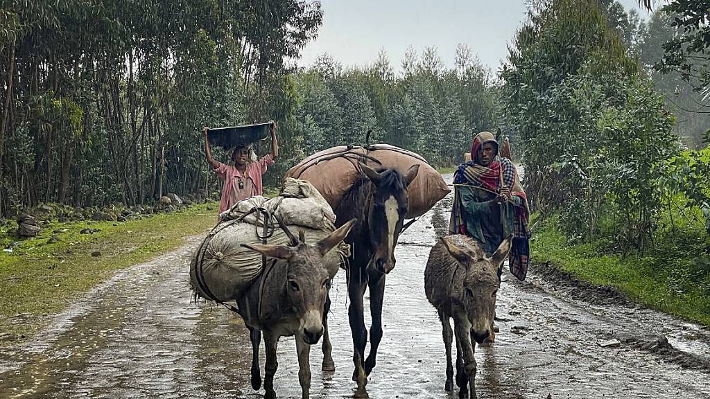 dpatopbilder - Dorfbewohner verlassen mit Eseln, die mit ihren Habseligkeiten beladen sind, ihre Häuser in der Region Amhara im Norden Äthiopiens. Foto: Uncredited/AP/dpa