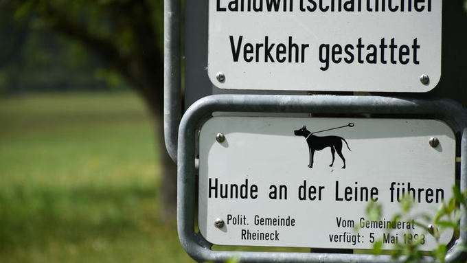 Jetzt werden Hundehalter in Thal gebüsst