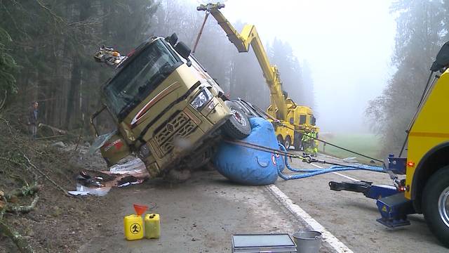 LKW-Selbstunfall in Hermetschwil