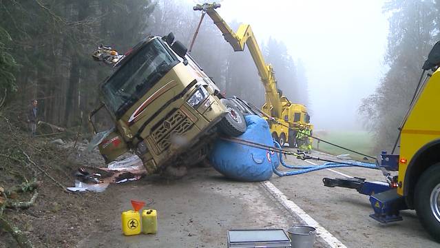 LKW-Selbstunfall in Hermetschwil