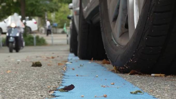 «Die Stadt Zürich will das Autofahren vermiesen»: Ärger um teure Parkkarten