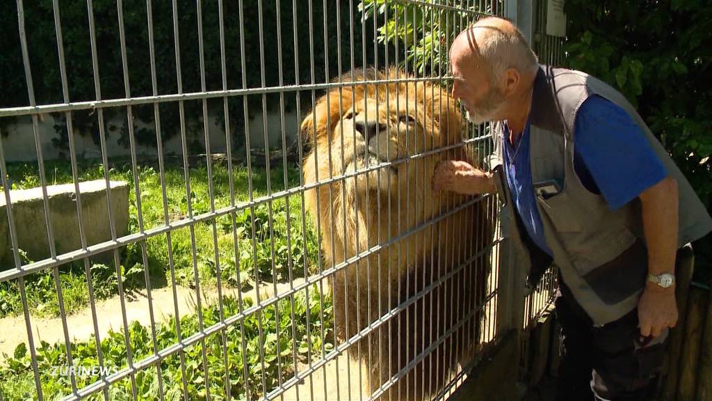 Angriff im Tiergehege: Zoo-Chef erklärt den Umgang mit Schusswaffen