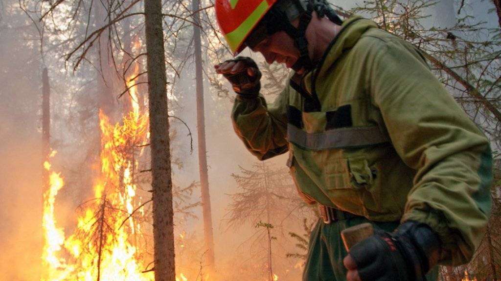 Waldbrände in Russland wüten derzeit laut Angaben von Greenpeace auf einer Fläche grösser als die Schweiz.