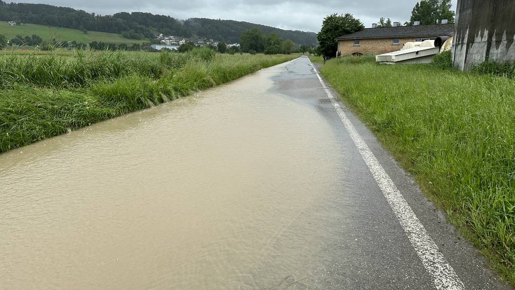 240603 Überschwemmung Altwis