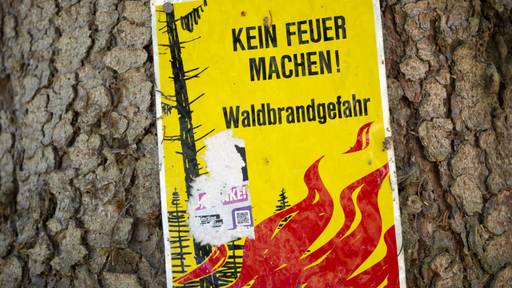 Luzern hebt absolutes Feuerverbot im Wald auf