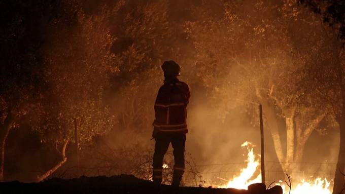 3500 Einsatzkräfte kämpfen gegen Waldbrände in Portugal