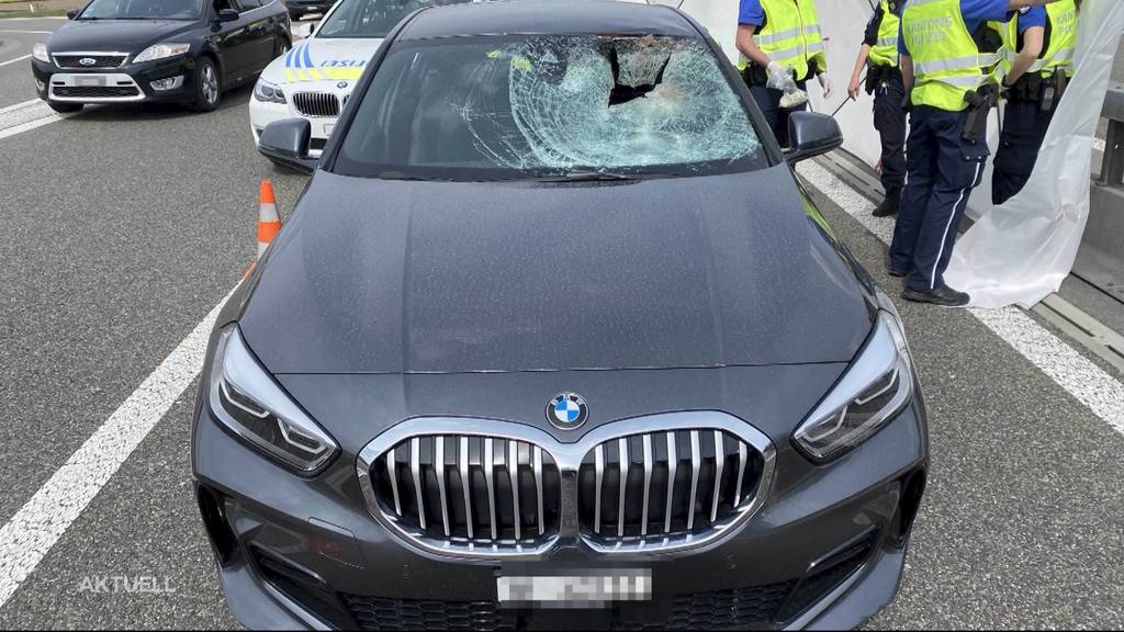 Nach tragischem Unfall auf der A1: Wie sollte man bei Wildtieren auf der Strasse reagieren?