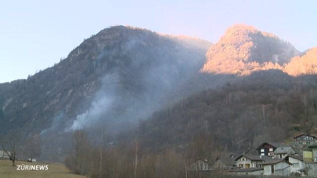 Was blüht den Waldbrand-Verursachern?