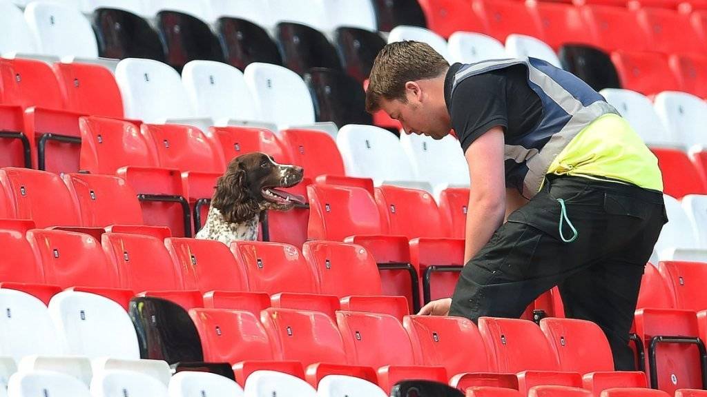 Ein Spürhund im Einsatz im Old Trafford-Stadion zu Manchester, nachdem dort Bombenalarm ausgelöst worden war.