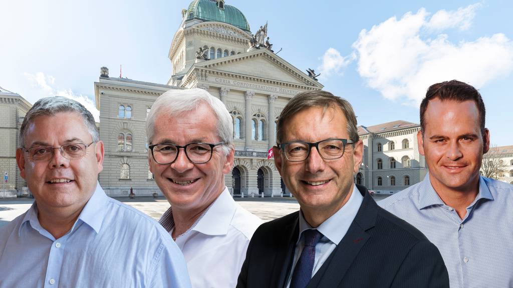 Das sind die erfolgreichsten Zentralschweizer Parlamentarier
