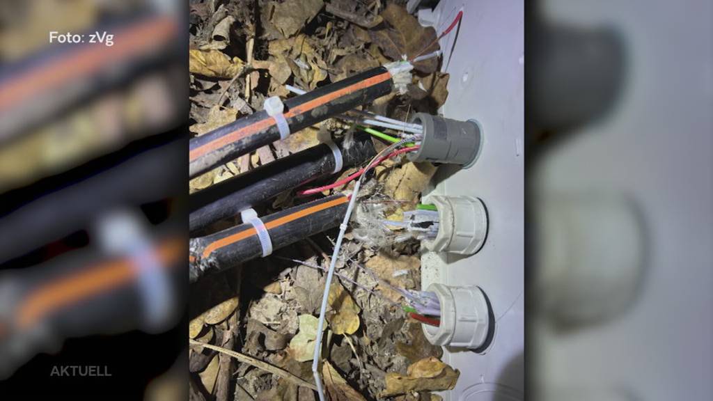 «Wolfsrudel» Rheinfelden: 5 Männer wegen geplanter Zugsentgleisung ab heute vor Gericht