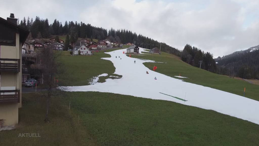 Skifahren im Grünen