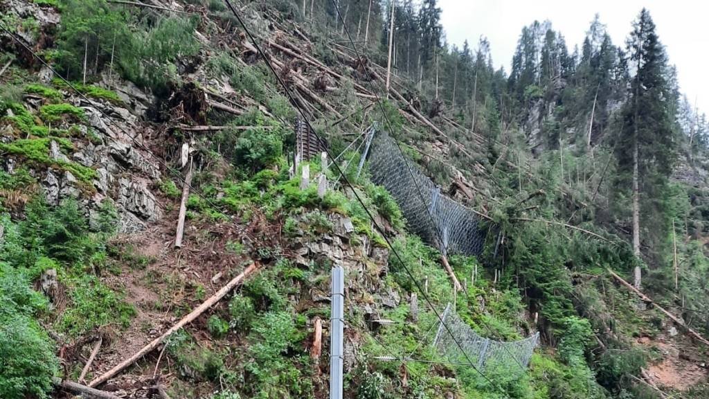 Die im Sturm umgestürzten Bäume liegen unter Spannung in aufgelockertem Fels in einem Steilhang. Sie werden deshalb per Helikopter abtransportiert.