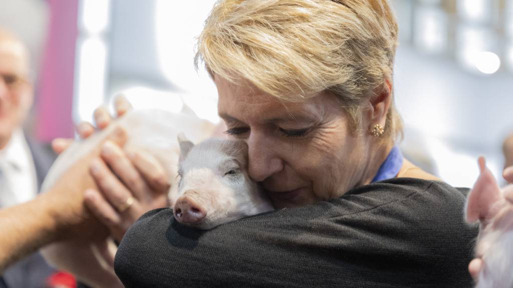 Schmusen mit Ferkel Paola: Karin Keller-Sutter zeigte beim traditionellen Säuli-Auftritt an der Olma keine Berührungsängste.