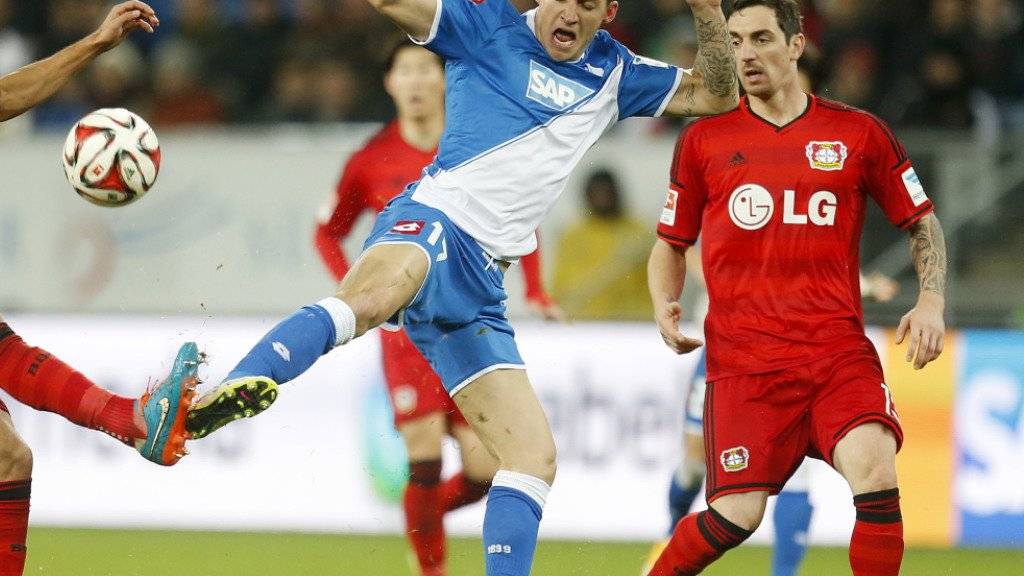 Steven Zuber (Mitte) verlängerte seinen Vertrag mit dem noch ungeschlagenen Bundesligisten Hoffenheim