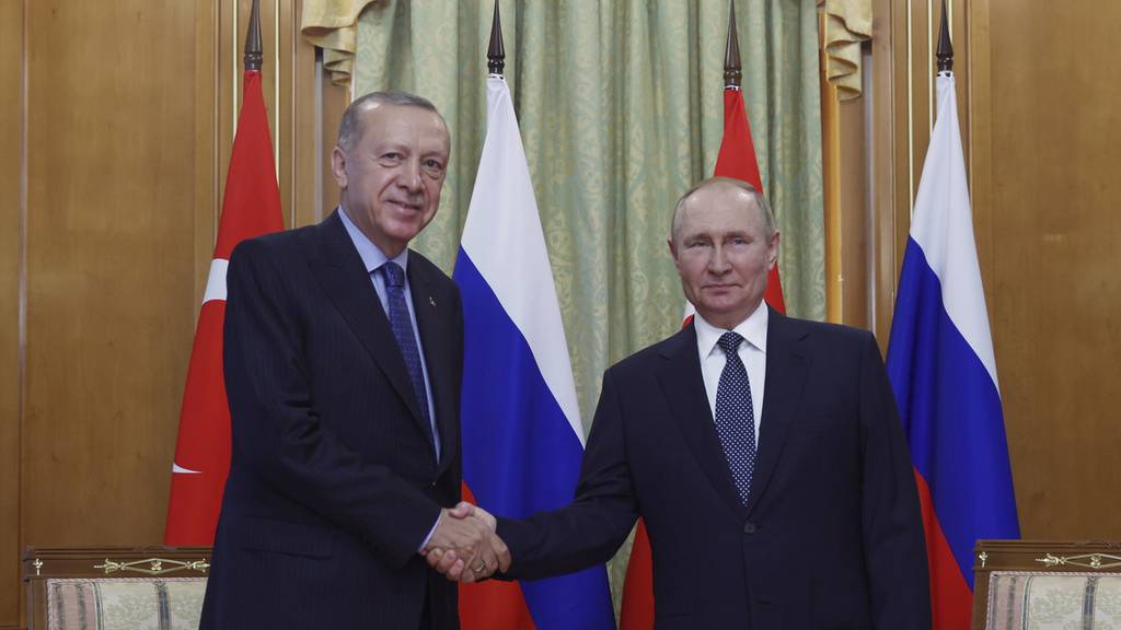 Erdogan trifft Wladimir Putin in Sotschi