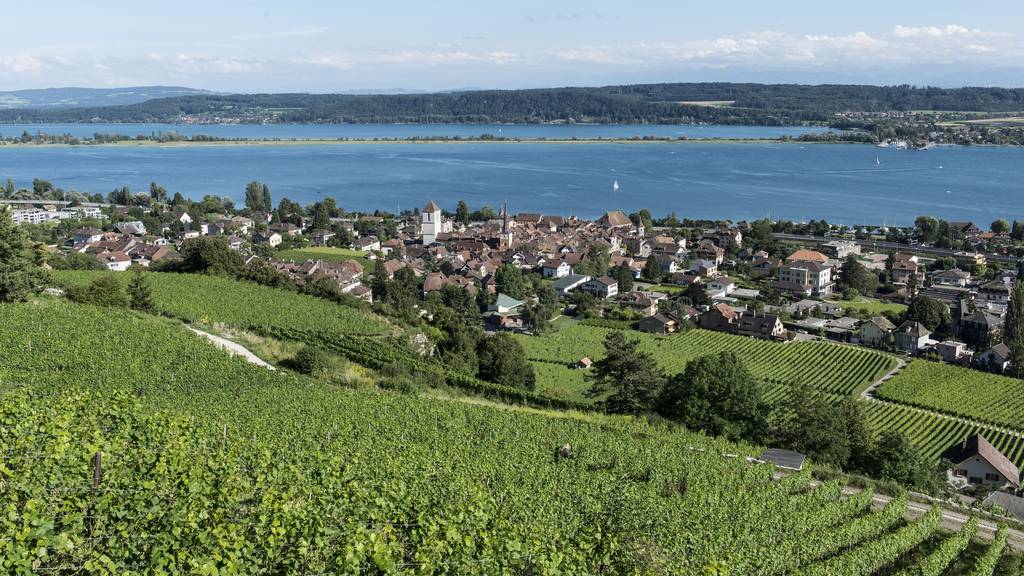 Ein Weinbaugebiet am Bielersee, im Bild La Neuveville.