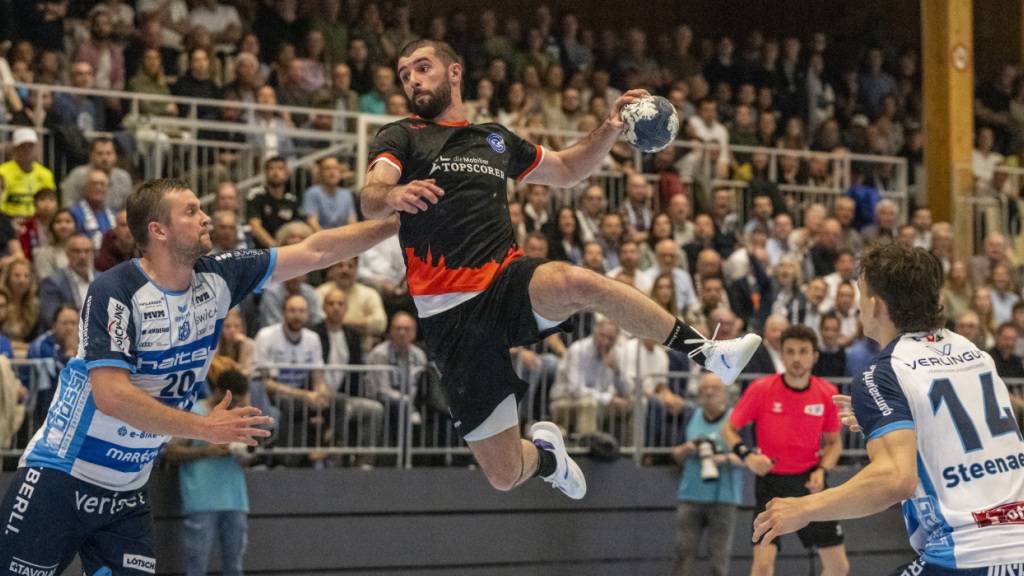 Zürcher Handball soll neue Arena vor den Toren der Stadt erhalten
