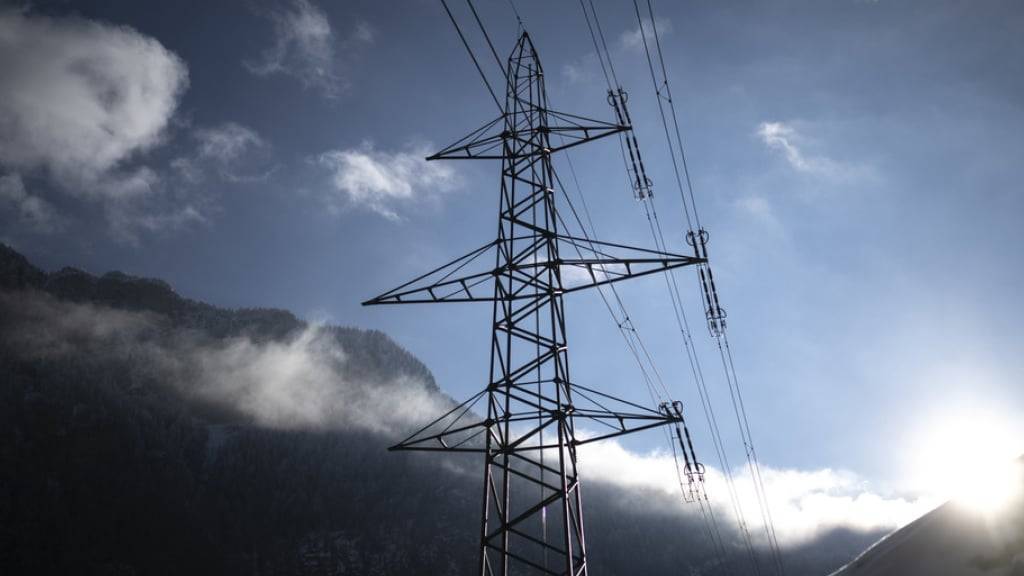 Wetterereignisse wie Wind haben laut einer neuen Studie die meisten Stromausfälle in Europa verursacht. (Symbolbild)