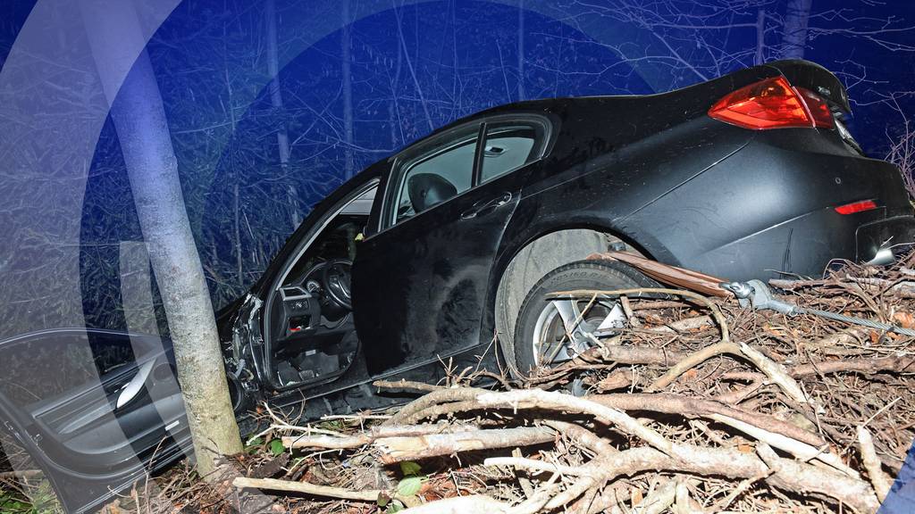 Verunfallter Autofahrer erst nach einem Tag gefunden