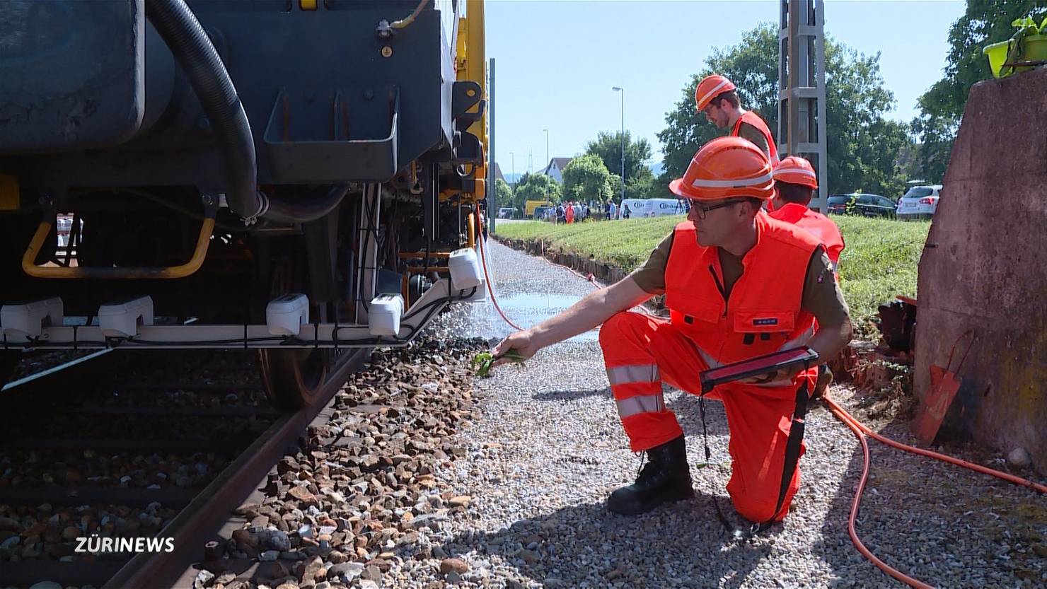 SBB testet Glyphosat-Alternativen: Mit Wasser statt Chemie gegen Unkraut | TeleZüri
