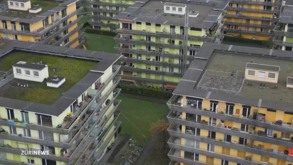 Kommission lehnt Wohnschutz-Initiative ab