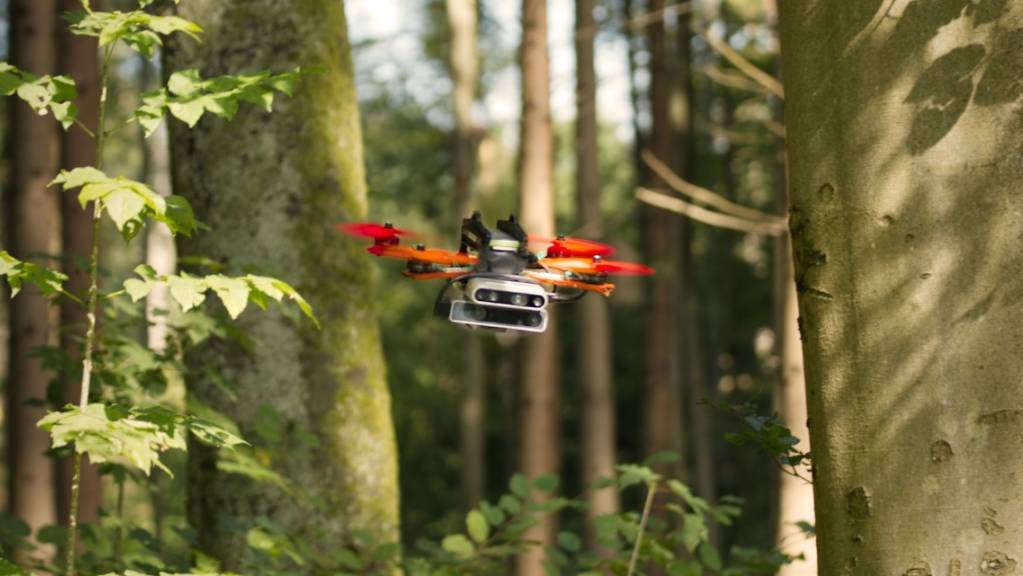 Zürcher Forschende entwickelten einen Ansatz, dank dem eine Drohne selbstständig mit hoher Geschwindigkeit durch unbekanntes Gelände navigieren kann, beispielsweise durch einen dichten Wald.