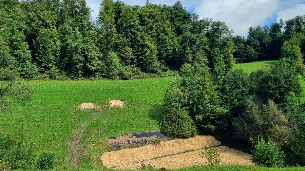 Armee will Militärschiessplatz in Langnau bei Reiden LU sanieren